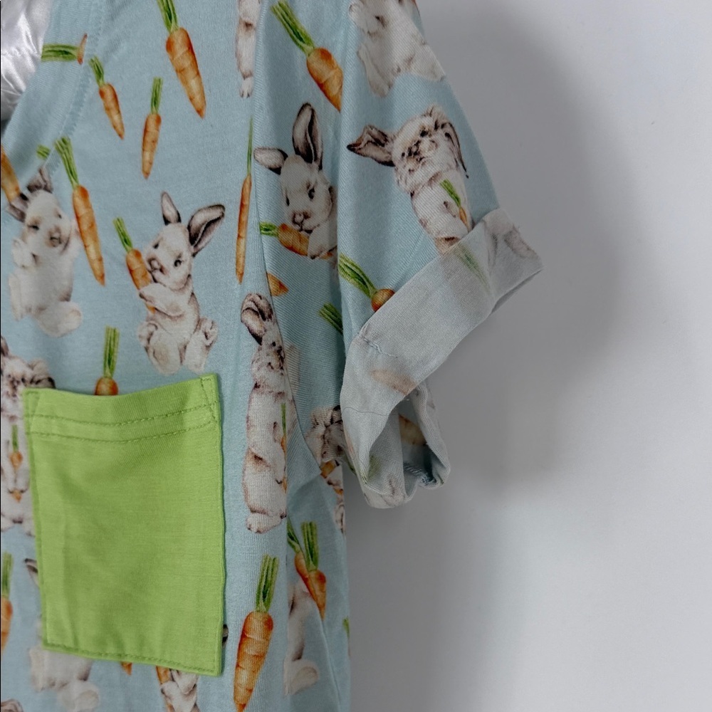 Lev Baby Tee Pete Tshirt  and Lime Pocket - 2/3T - Picture 4 of 7
